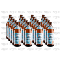 Caja x20 Schlenkerla Helles 0,5L