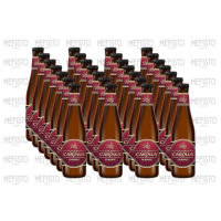 Caja x24  Gouden Carolus Classic 0,33L