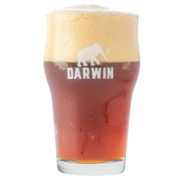 Vaso Pinta Nonic Darwin 30cl 